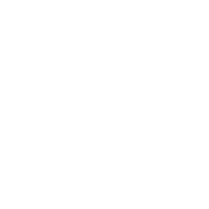 Aesthetic Society